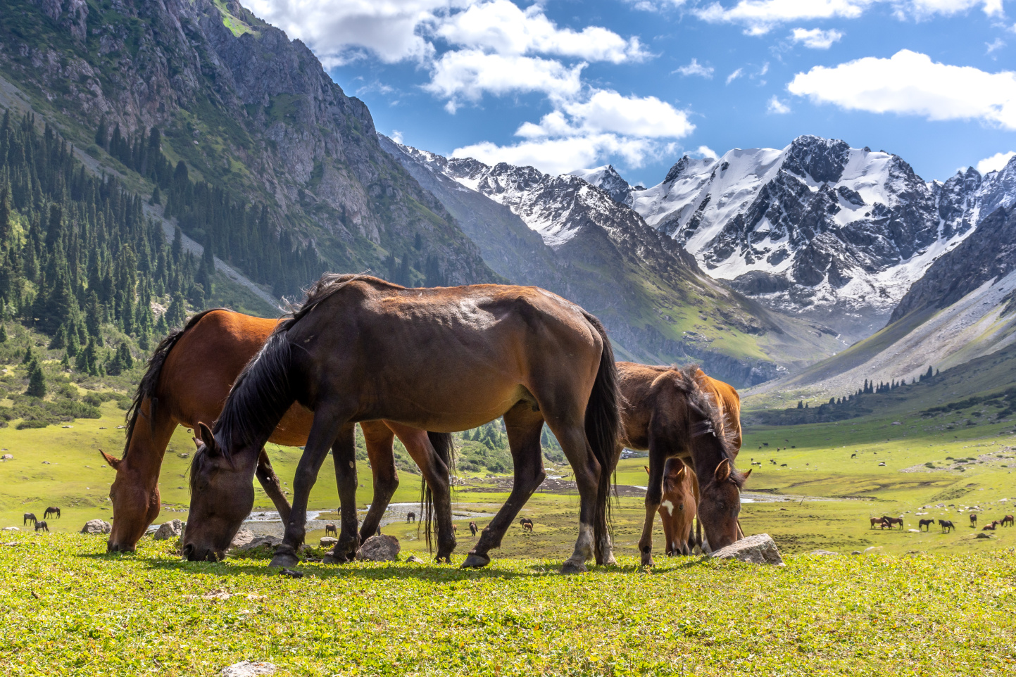 Kyrgyzstán – země vysokých hor a šťastných lidí